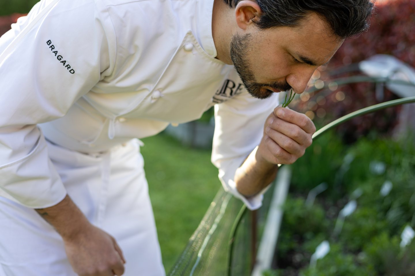 Chef Leonardo Fiorenzani picking herbs in the restaurant’s vegetable garden