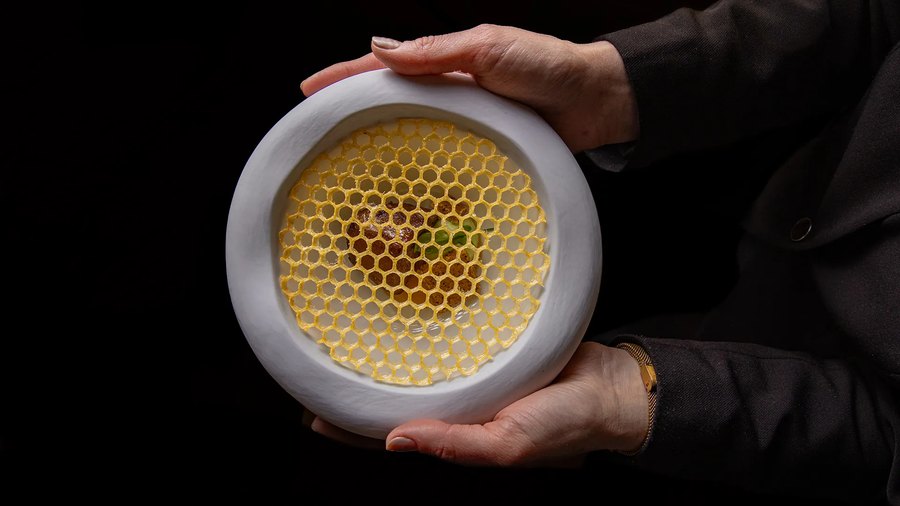 Un piatto coperto da un favo di miele giallo, tenuto a due mani